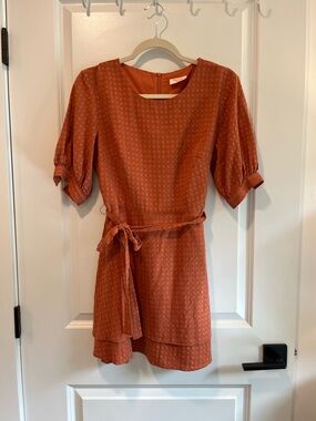 Showpo Rust Orange Tie-Waist Mini Dress